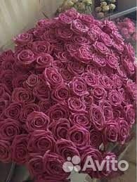 51 роза 101 роза 55 85 65 35 25 21 Букет Доставка