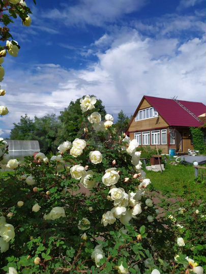 Дача 120 м² на участке 14 сот.