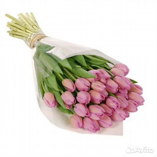 Тюльпаны для букетов