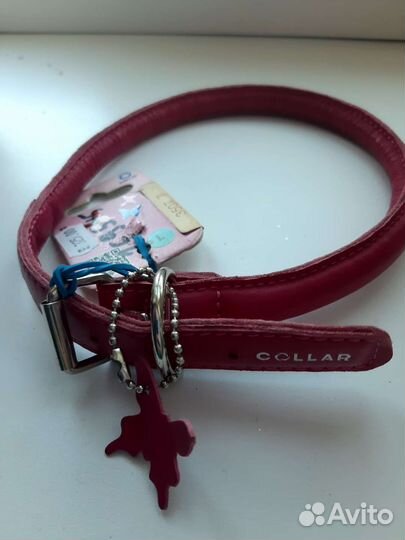 Ошейник для собак