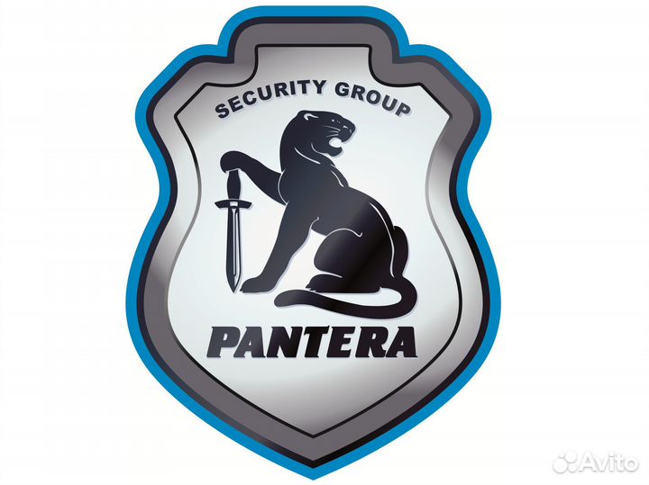 Охранник-водитель