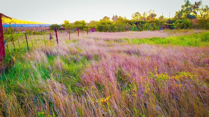 Участок 9 сот. (ИЖС)