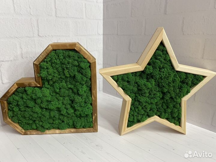 Сердце/звезда со стабилизированным мхом