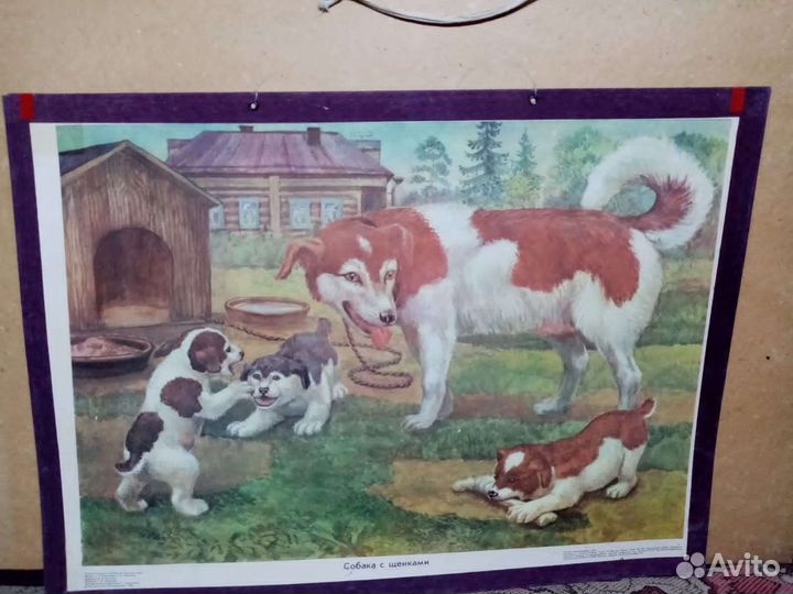 Учебные пособия для дет. садов и нач.классов СССР