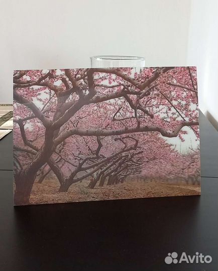 Фото-картина 3D сакура