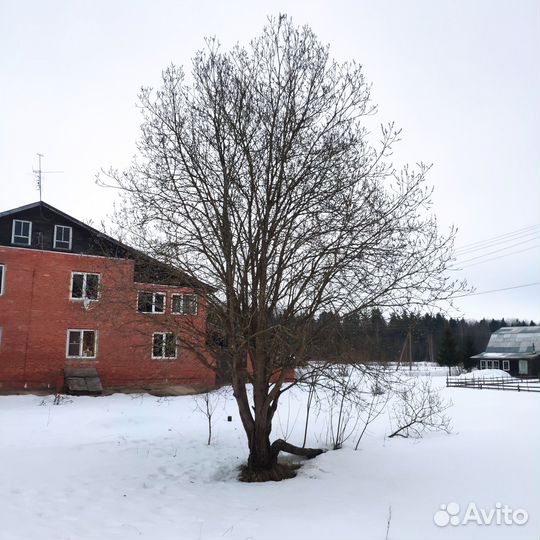 Поиск партнера по бизнесу (свиноводство)