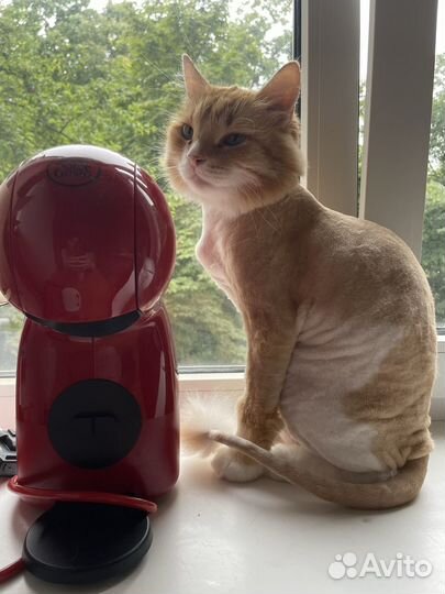 Кофе машина капсульная dolce gusto