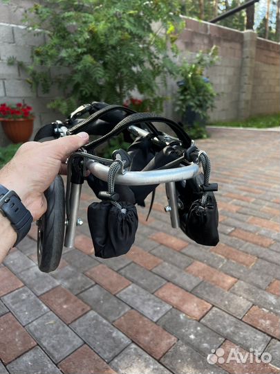 Инвалидная коляска для собак