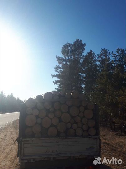 Дрова сухие Сосна, Лиственница, 50/50