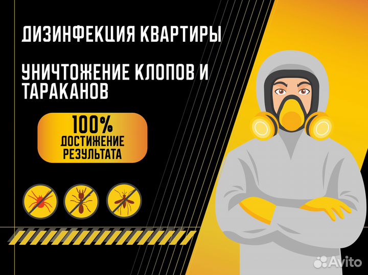 Уничтожение клопов, тараканов, грызунов, муравьев