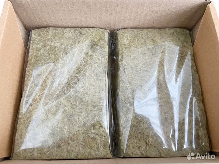 Набор для выращивания микрозелени (6 видов)