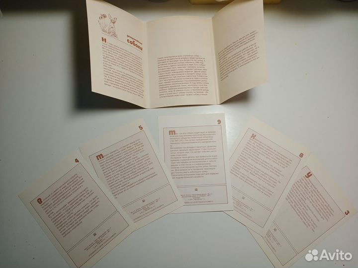 Наборы открыток СССР с животными (кошки, собаки)