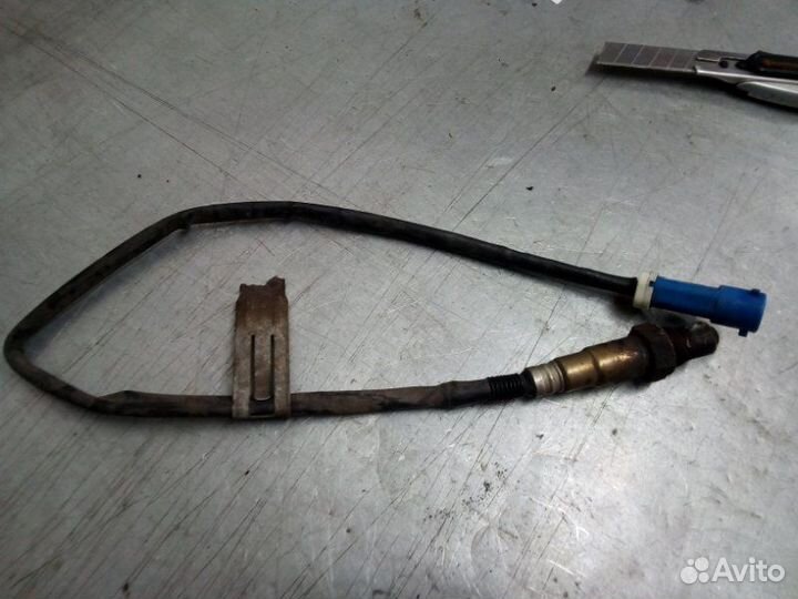 Датчик кислородный Ford Focus 2 хэтчбек 1.8 qqdb