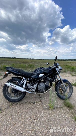 Suzuki Bandit