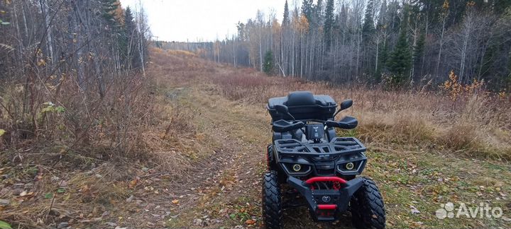 Avantis hunter 200 new