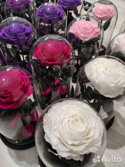 Вечная роза в колбе