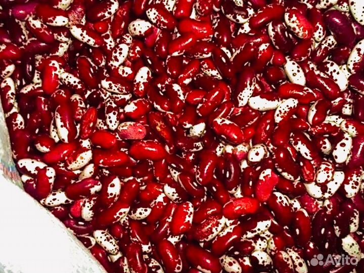 Фасоль оптом