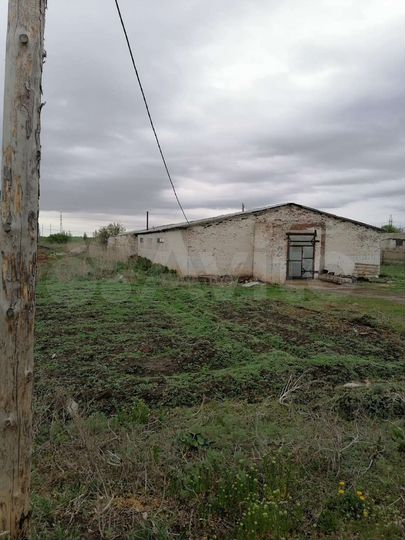 Свободного назначения, 1000 м²