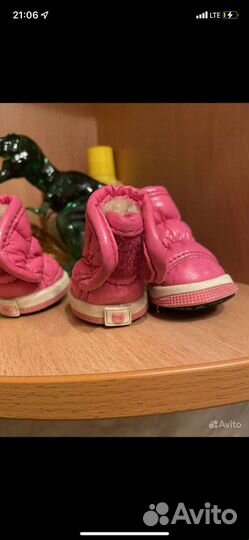 Ботинки для маленьких собак