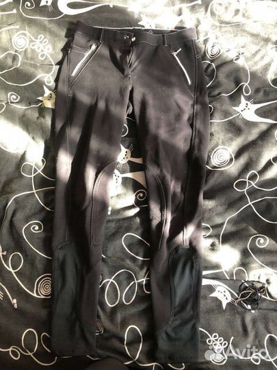 Бриджи для конного спорта