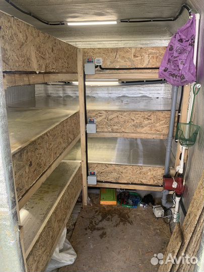 Узв для австралийского рака