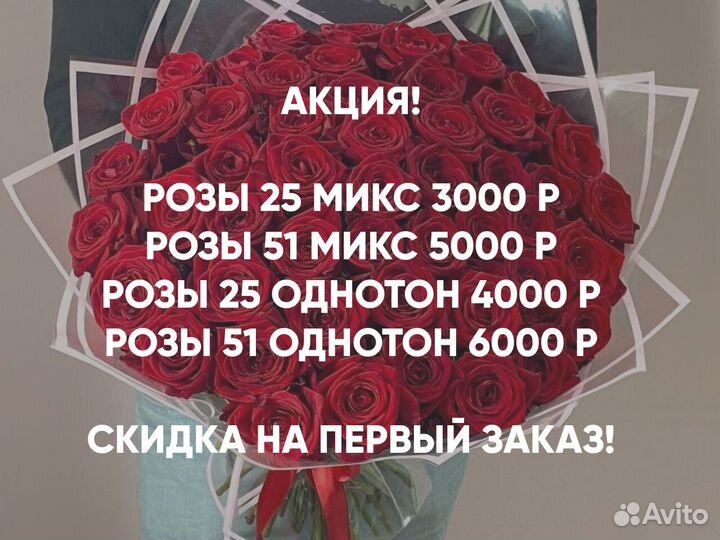 Розы Цветы Букеты 25 51 101