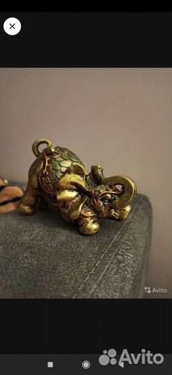 Индийский слон