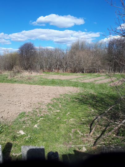 Дом 53 м² на участке 30 сот.