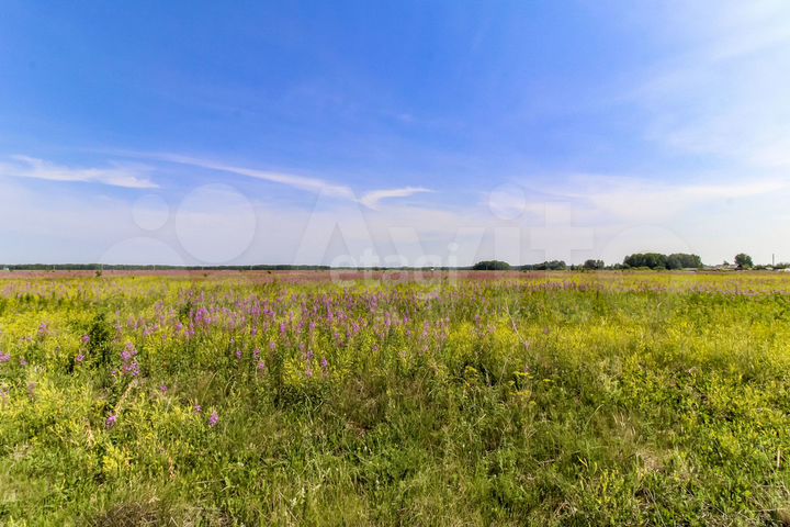 Участок 15 сот. (ИЖС)