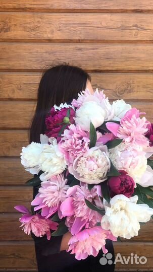 Пионы букет