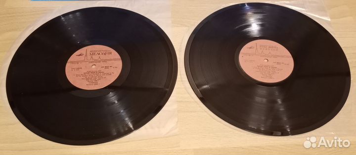 Pink Floyd delicate sound of thunder 2LP