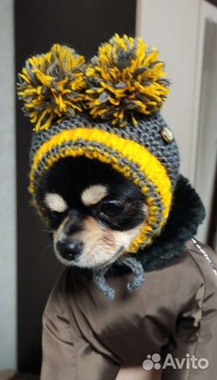 Шапка для собак