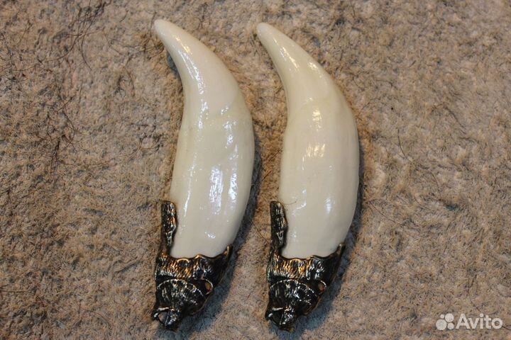 Клыки хищника в бронзовой оправе, амулет, оберег