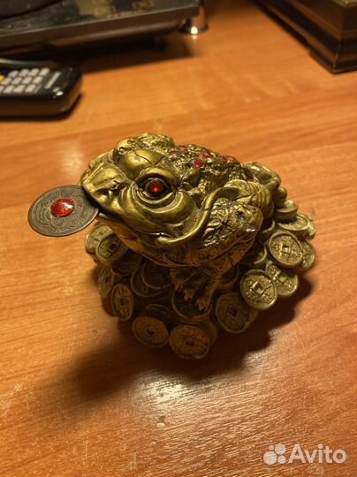 Жаба приносящая деньги