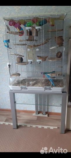 Большая клетка для животных и птиц Vision 2