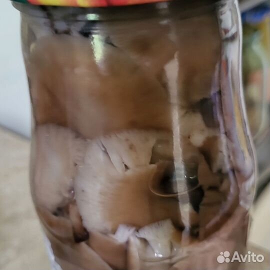 Грибы лесные:белые, опята, подосиновики и др