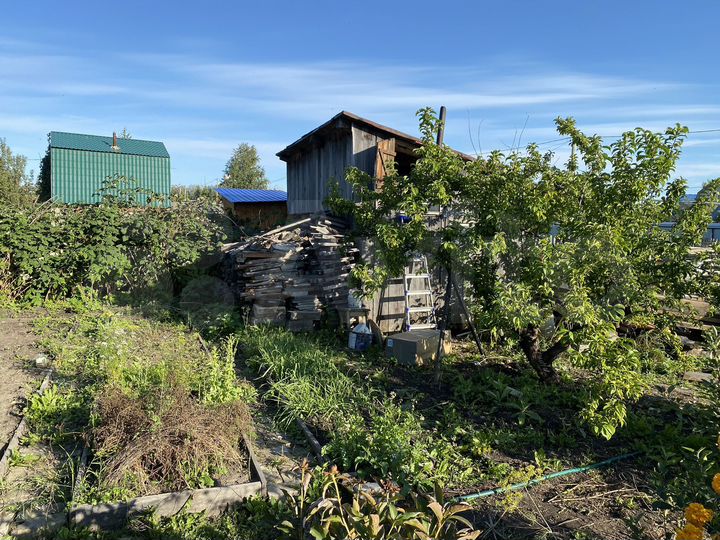 Участок 8 сот. (СНТ, ДНП)