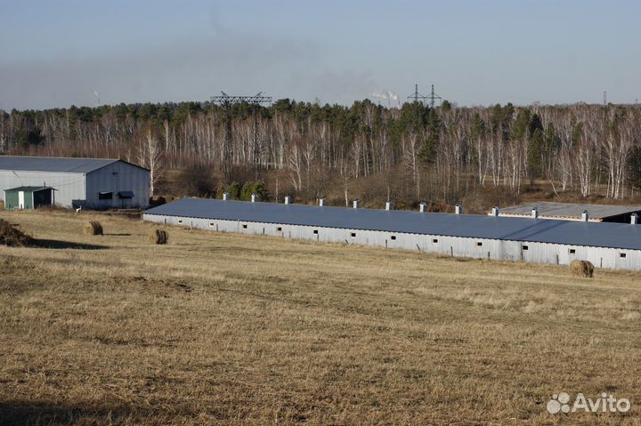 Продается ферма