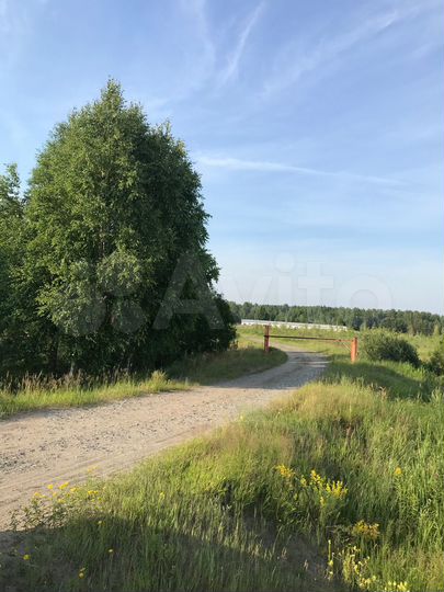 Участок 2 га (ИЖС)