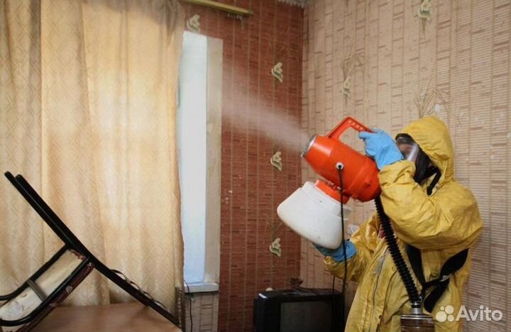 Средство для Уничтожения клопов тараканов плесени клещей