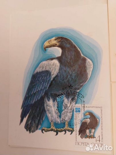 Картмаксимум,фауна СССР