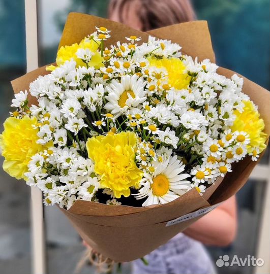 Хризантема Ромашки