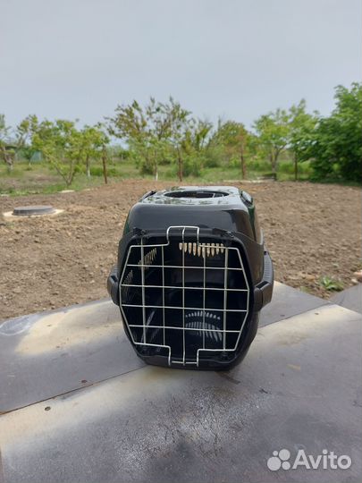 Переноска для кошек пластиковая