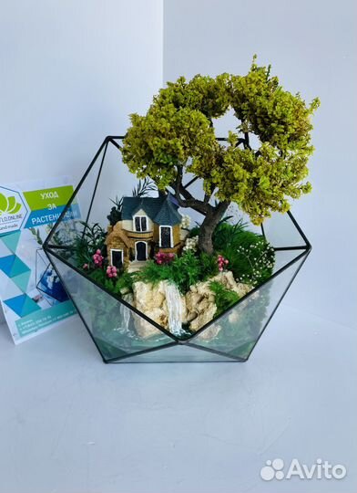Флорариум. Не требует ухода. Моссариум в наличии