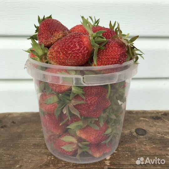 Виктория ягоды