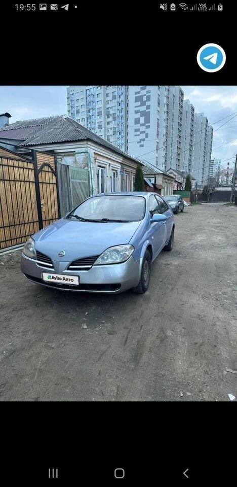 Nissan Primera: фото владельца