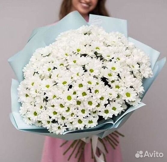 Доставка букетов и цветов. Хризантема