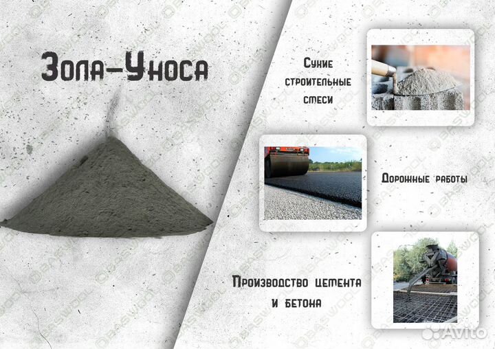 Зола -уноса в бегах