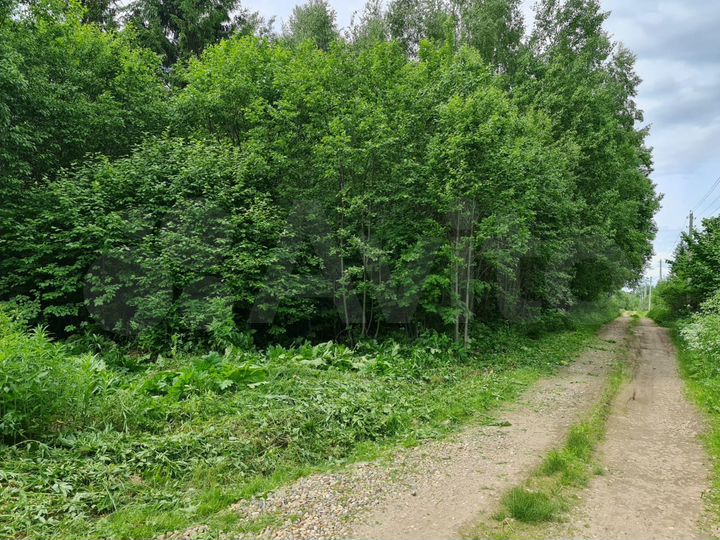 Участок 9,6 сот. (СНТ, ДНП)