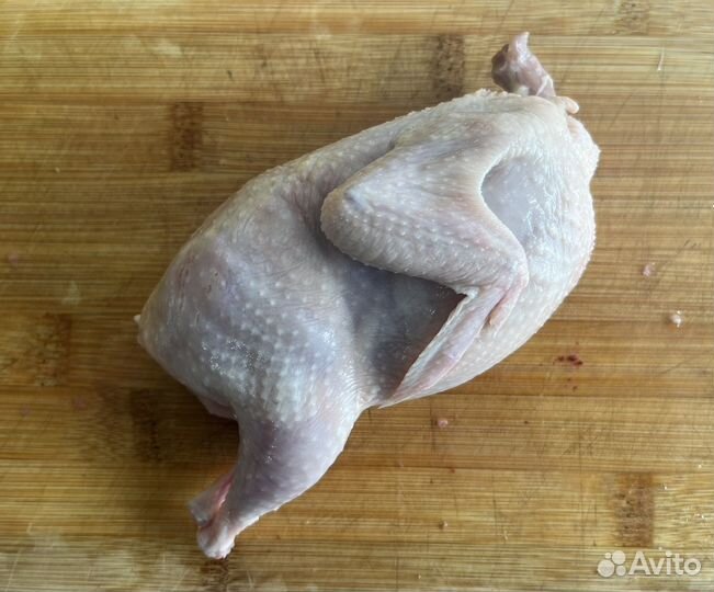 Перепелки тушки в наличии